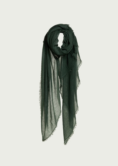 f25_a600_194906_1_conifer2.jpg