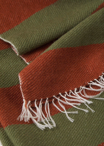 f25_e710_000902_mirror cashmere throw striped_spice_04.jpg