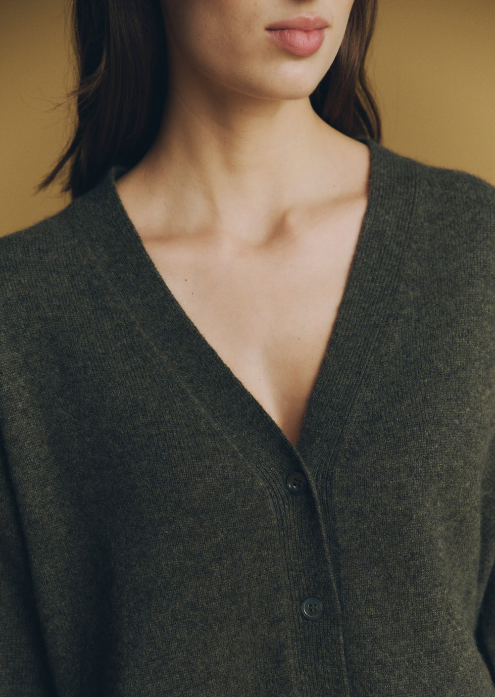 f25_g220_4.jpg