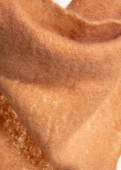 f26_a458_171143_2_chamois.jpg