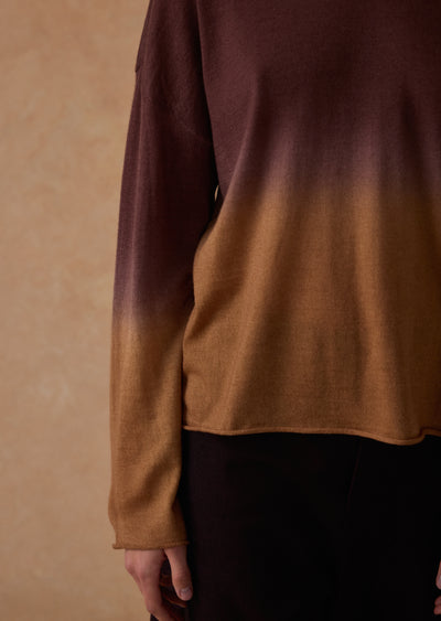 f26_g463_2.jpg