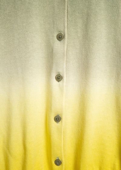 s26_g250_004084_2_chrysalis & electric.jpg